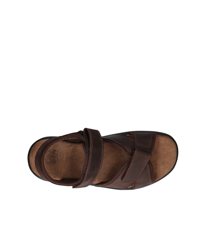Panama Jack sandalen <span>Sanders Basics C1</span> Sanders Basics C1 bruin - www.bremmerschoenen.info - Bremmer Schoenen
