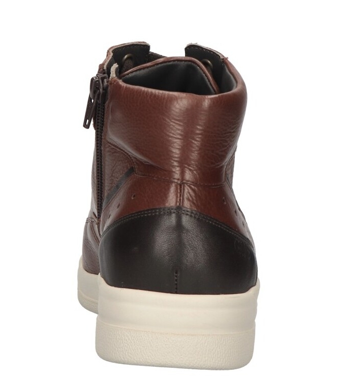 Gijs sneaker <span>2140 208 1239</span> 2140 208 1239 cognac - www.bremmerschoenen.info - Bremmer Schoenen