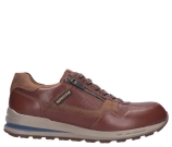 Kleur Cognac