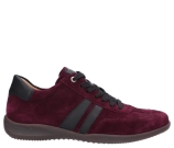 Kleur Bordeaux