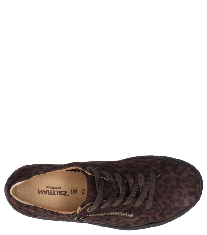 Hartjes Sneaker <span>162.1402 77/00 Phil</span> 162.1402 77/00 Phil bruin - www.bremmerschoenen.info - Bremmer Schoenen