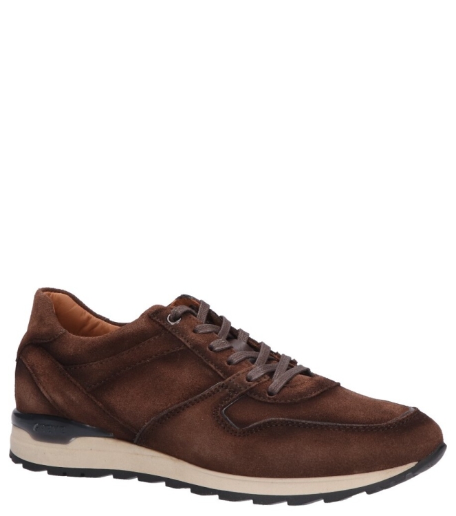 Greve sneaker <span>7243.35 Fury 2923</span> 7243.35 Fury 2923 bruin - www.bremmerschoenen.info - Bremmer Schoenen