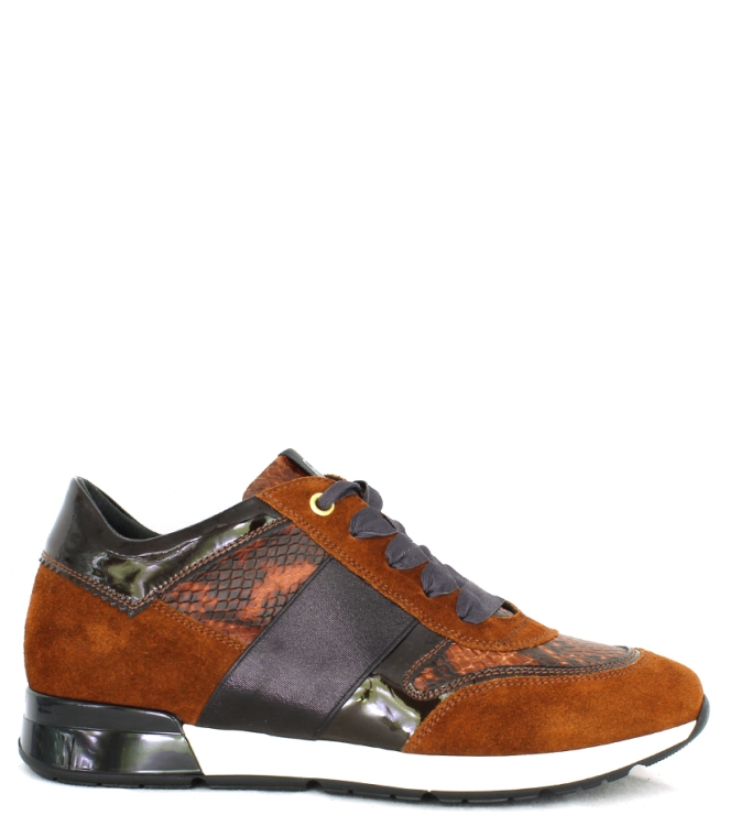 DL-sport sneaker <span>4439 versione 21</span> 4439 versione 21 bruin - www.bremmerschoenen.info - Bremmer Schoenen